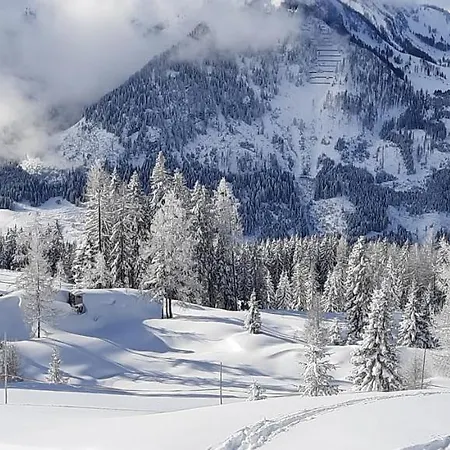 Bed and breakfast Auhof Flachau